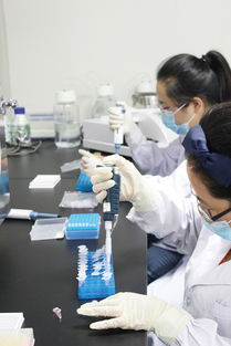 ELISA檢測技術(shù)服務(wù)介紹